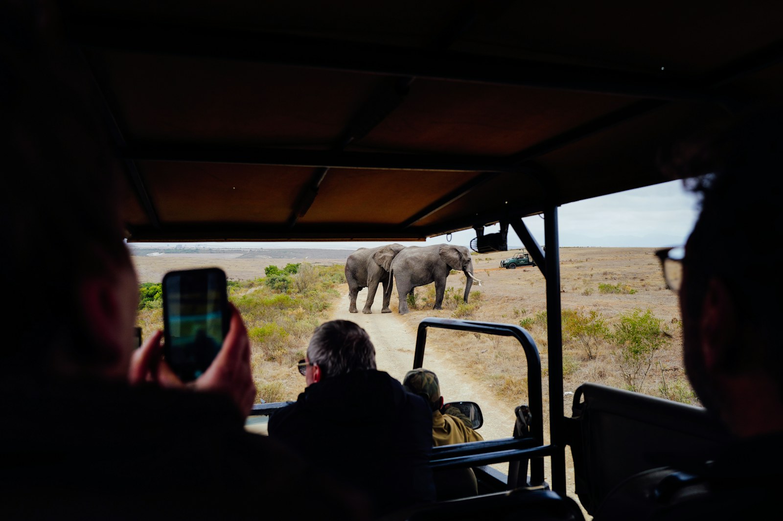 Travelers watching elephants on safari